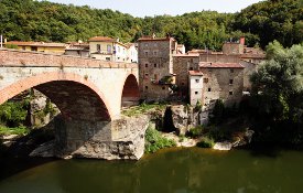 Capolona