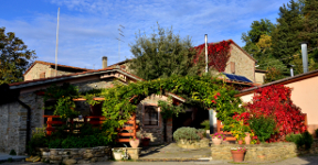 Sistemazioni - Villa Borgogni